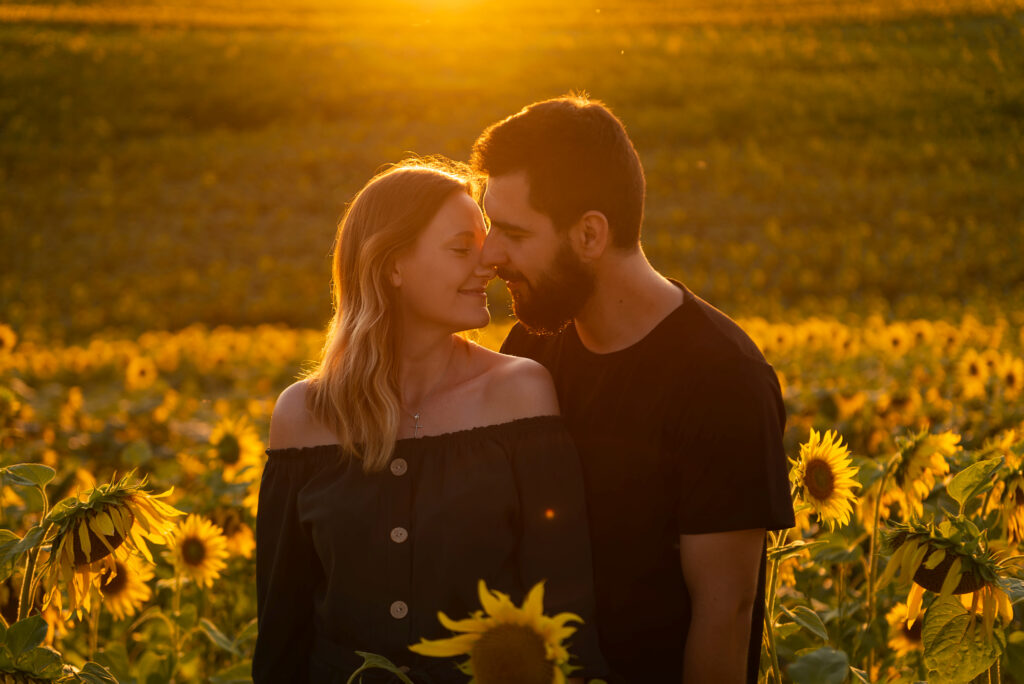 dobry-fotograf-portfolio-sesja-w-slonecznikach